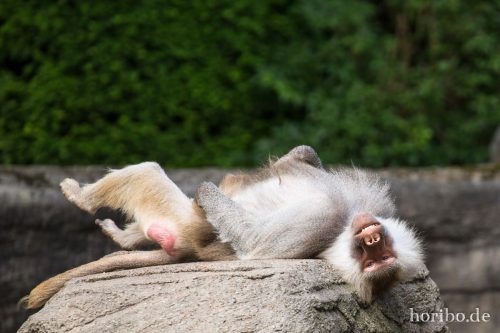 HR-16-06-28-12-23-43-6025