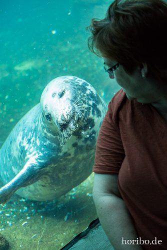 HR-16-06-28-15-37-55-6310