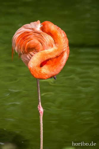 HR-16-06-28-16-01-27-6385