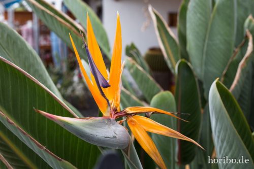 HR-16-07-06-16-20-06-6641