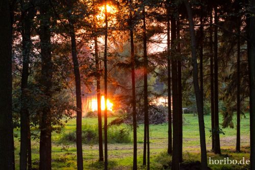 HR-16-09-14-19-06-56-1259