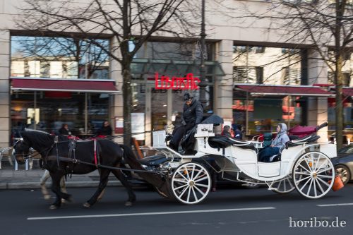 HR-17-01-22-14-21-23-3184