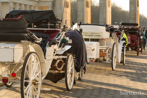 HR-17-01-22-15-26-31-3204