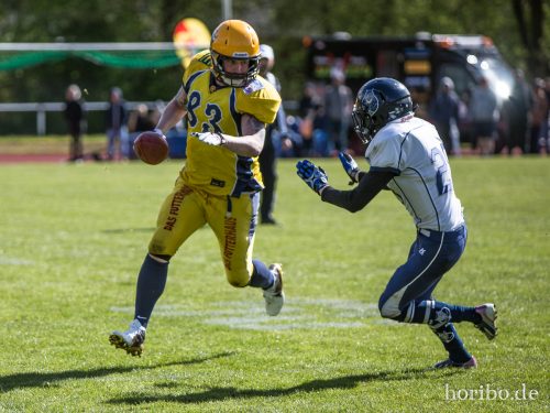 HR-17-04-22-15-40-10-4381