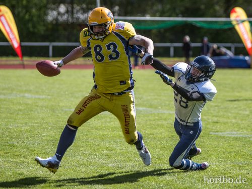 HR-17-04-22-15-40-10-4384