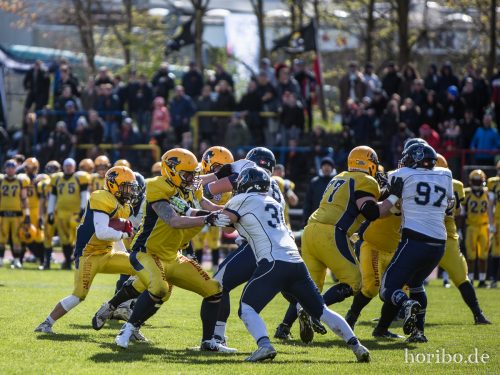 HR-17-04-22-15-42-31-4389