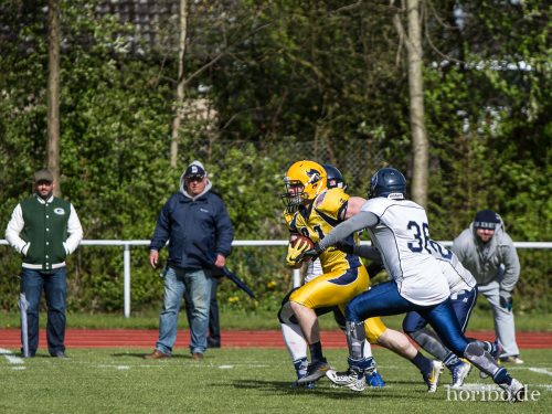 HR-17-04-22-16-24-02-4449