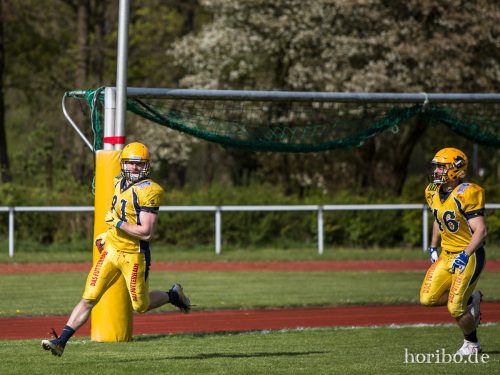 HR-17-04-22-16-24-08-4462