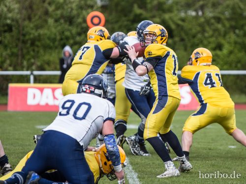 HR-17-04-22-16-35-36-4507