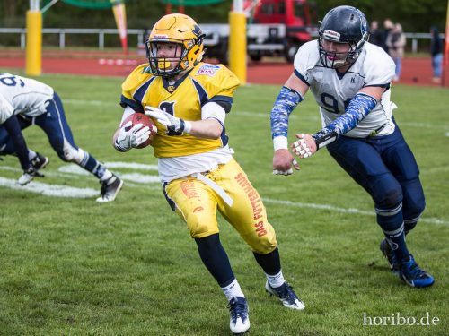 HR-17-04-22-16-35-43-4515