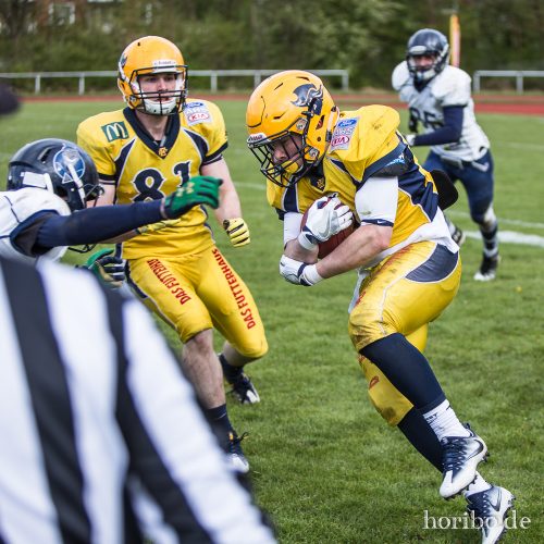 HR-17-04-22-16-35-43-4519