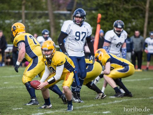 HR-17-04-22-16-40-34-4556