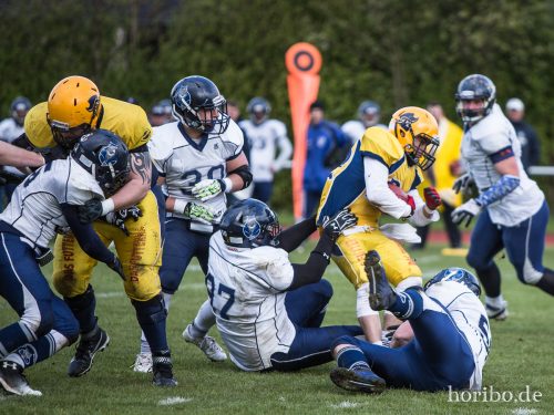 HR-17-04-22-16-41-25-4564