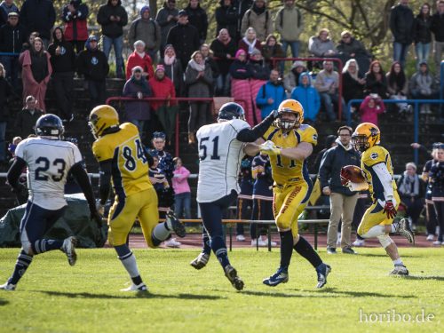 HR-17-04-22-17-01-50-4679