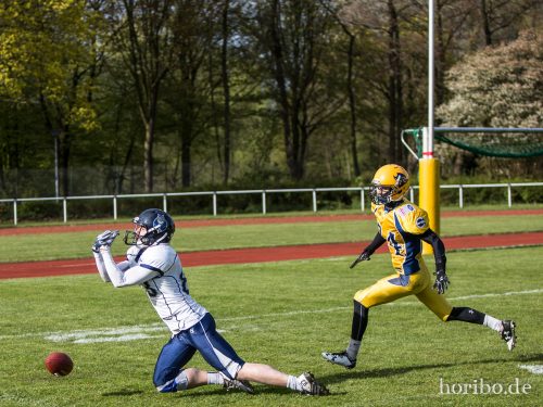 HR-17-04-22-17-19-24-4782