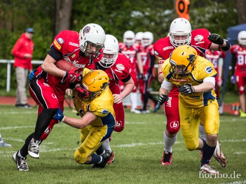 HR-17-04-29-15-03-01-4996