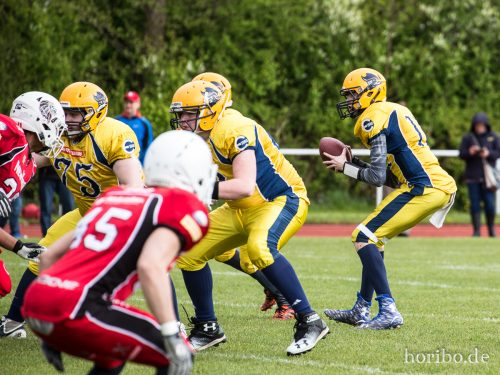 HR-17-04-29-15-07-08-5034