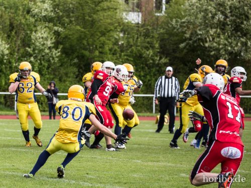 HR-17-04-29-15-07-49-5044