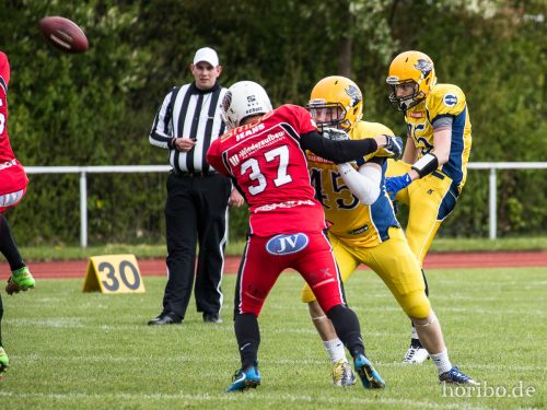 HR-17-04-29-15-08-34-5050