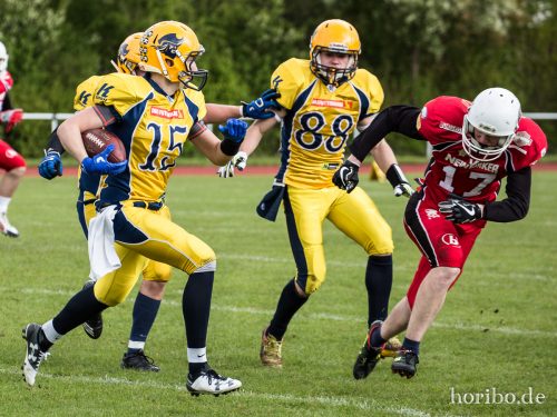 HR-17-04-29-15-29-08-5140