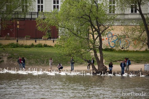 HR-17-05-03-13-09-24-5412