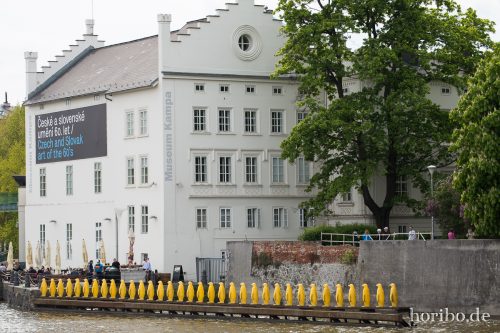 HR-17-05-03-13-19-46-5436