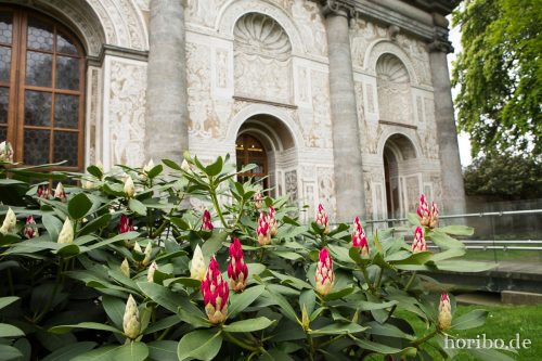 HR-17-05-04-12-02-24-5533