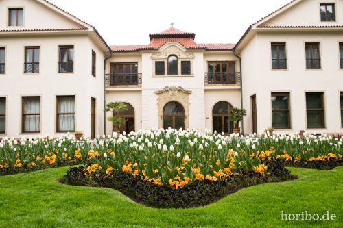 HR-17-05-04-12-04-34-5535