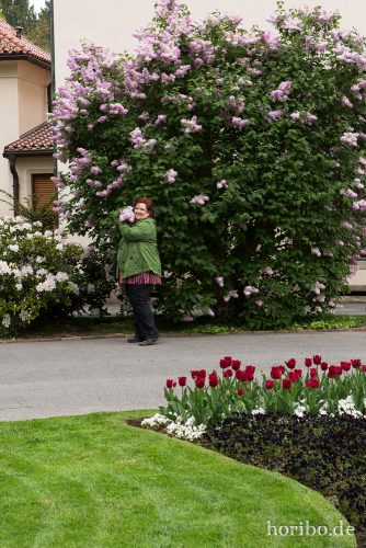 HR-17-05-04-12-05-17-5539