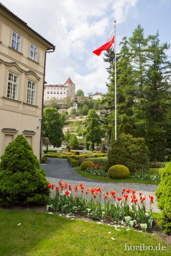 HR-17-05-04-14-43-24-5679