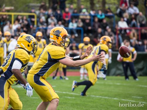 HR-17-05-06-15-09-58-5966