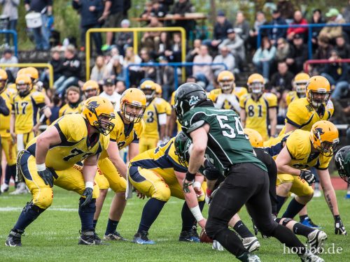 HR-17-05-06-15-13-01-5991