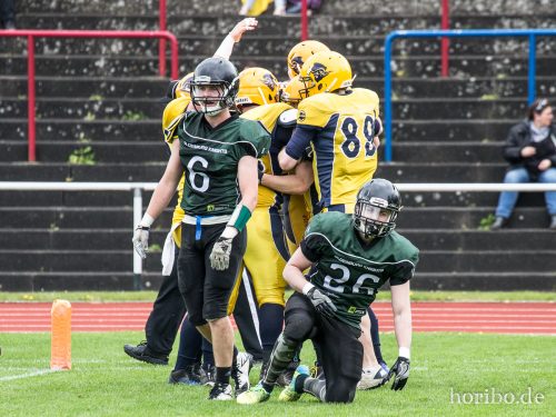 HR-17-05-06-15-13-55-6008