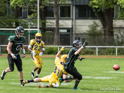 HR-17-05-06-15-43-45-6154