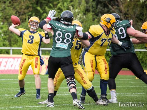 HR-17-05-06-16-03-12-6238