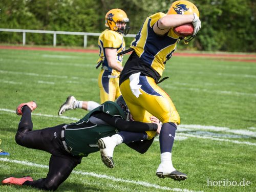 HR-17-05-06-16-08-09-6292