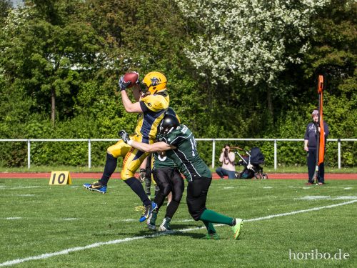 HR-17-05-06-16-12-56-6329