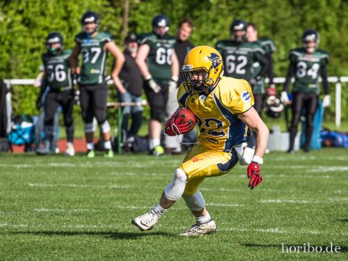 HR-17-05-06-17-07-26-6477