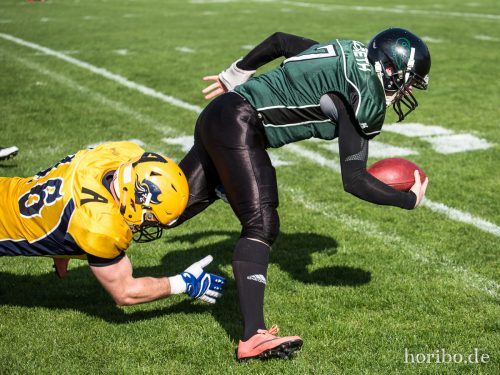 HR-17-05-06-17-16-51-6550