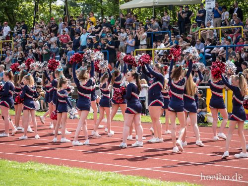 HR-17-05-21-15-33-50-8057