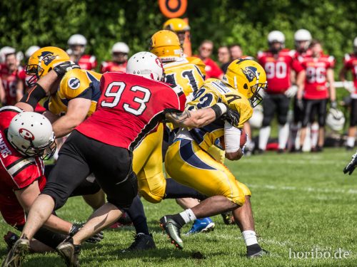 HR-17-05-21-15-39-40-8099