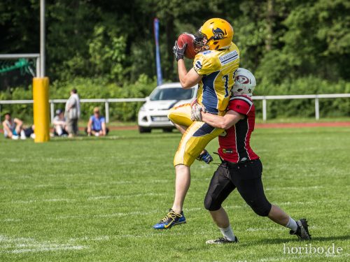 HR-17-05-21-15-43-03-8104