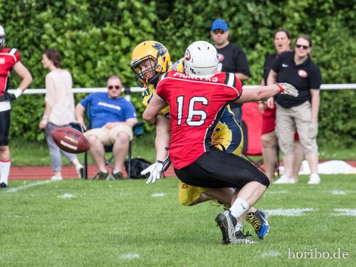 HR-17-05-21-15-44-44-8113