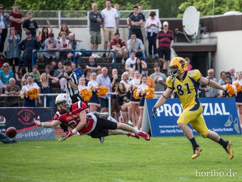 HR-17-05-21-16-20-19-8138