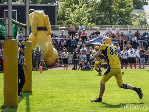 HR-17-05-21-16-32-04-8158