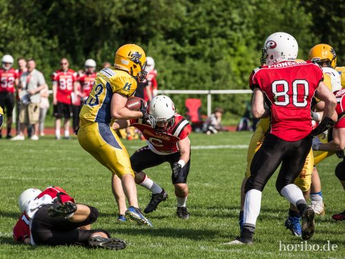 HR-17-05-21-16-42-29-8195