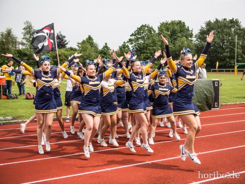 HR-17-06-03-14-29-45-8249