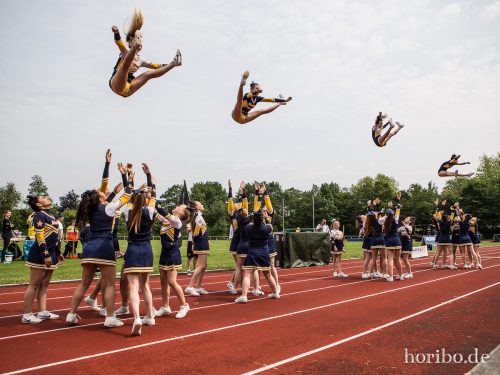 HR-17-06-03-14-30-42-8258