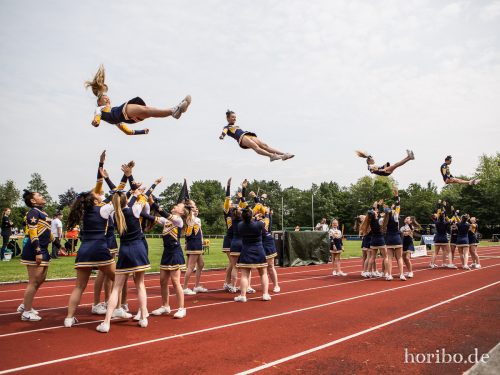 HR-17-06-03-14-30-42-8260