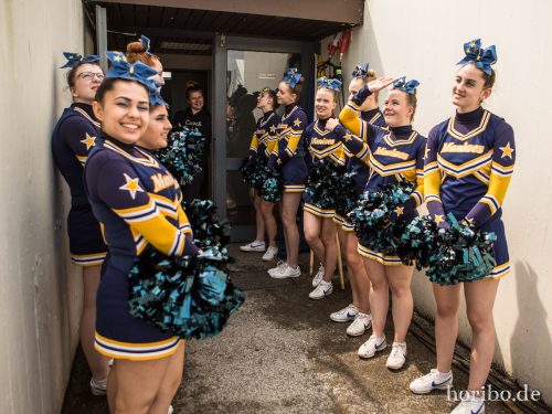 HR-17-06-03-14-39-53-8264